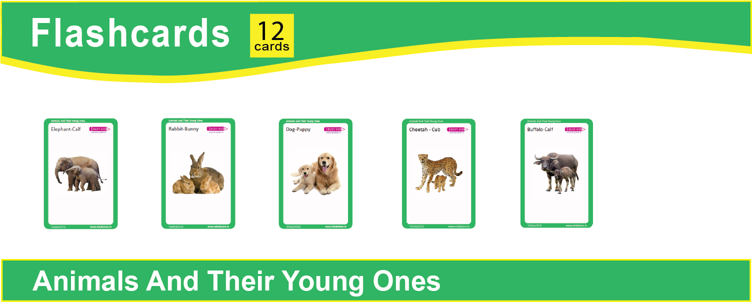 Animals And Their Young Ones