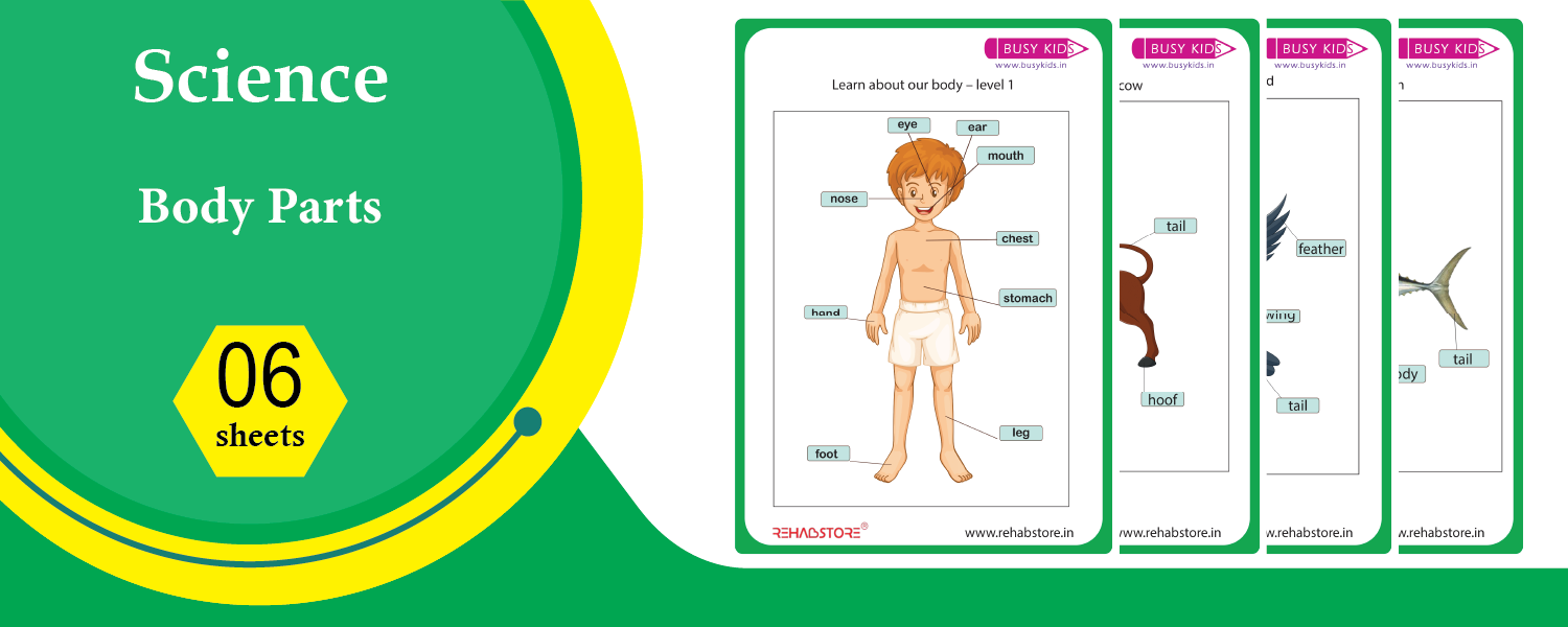 Body Parts – Human & Animal Anatomy
