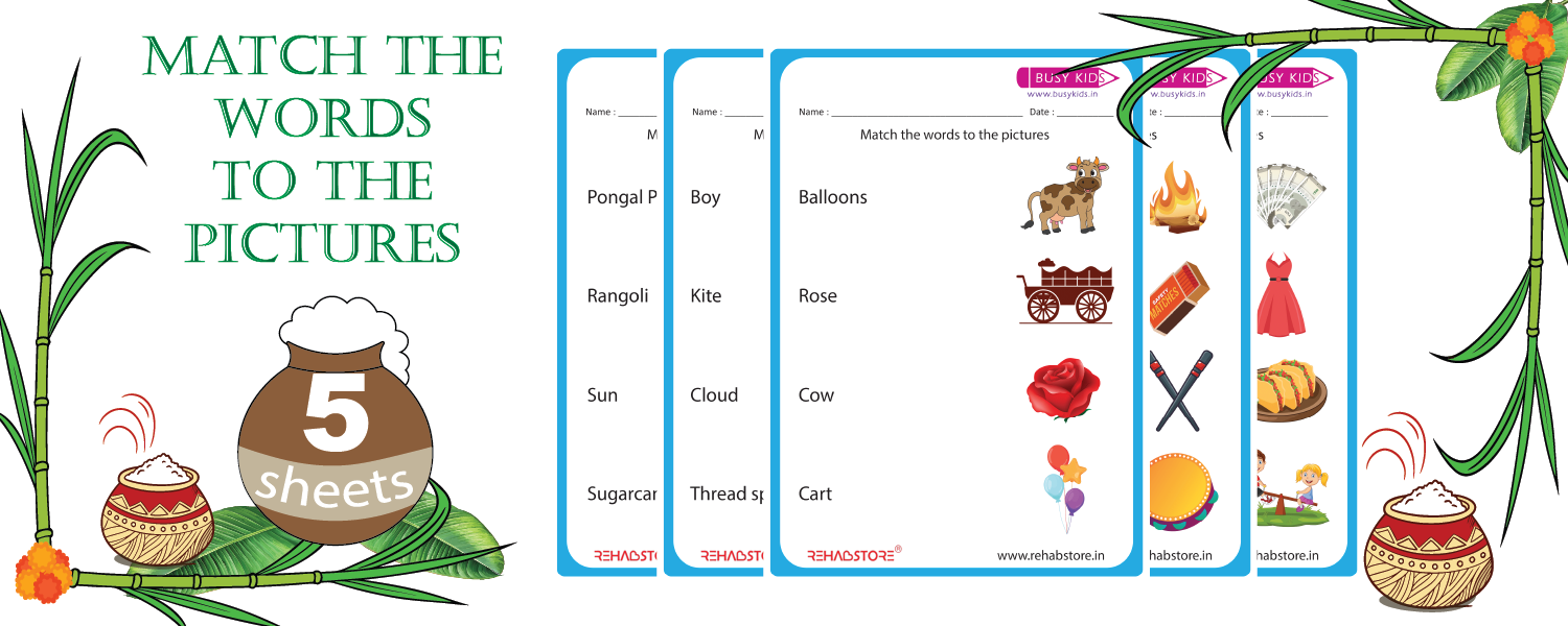 Match the Words to the Pictures